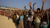 Bangladesh needs ‘internationalisation’ of Rohingya issue in stronger way