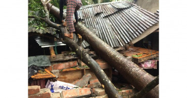 Cyclone Bulbul: 1 lakh still without electricity in Bagerhat