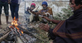 No relief from cold wave; poor people suffer   
