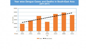 WHO expert says how to deal with dengue outbreak