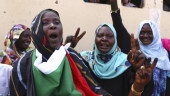 Sudanese protesters sign final power-sharing deal with army