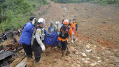 Indonesia landslide leaves 15 dead; 20 still missing