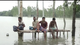 New areas flooded in Kurigram as Brahmaputra, Dharla swell