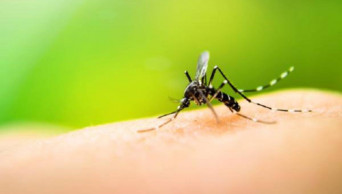 2 dead, over 3,700 affected by dengue in Sri Lanka
