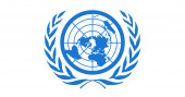 UN says South Sudan at risk of desert locust invasion