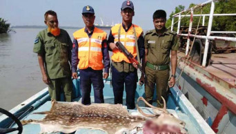 Venison, deer head seized in Sundarbans