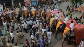 Fears for elephants facing 1,900 mile train journey in India
