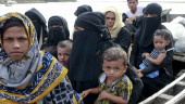 Over half a million Rohingyas receive identity documents: UNHCR
