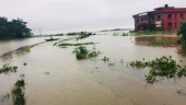 Teesta, Dharla flow above danger level; 12,000 families stranded in Lalmonirhat