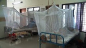 300 new dengue patients hospitalised in 24 hrs