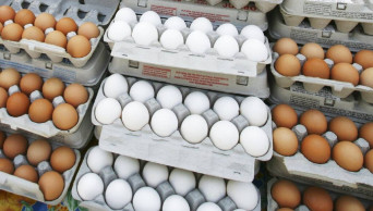 Are eggs good or bad for you? New research rekindles debate