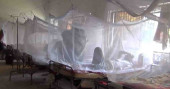 Dengue death toll rises to 37 as four more die