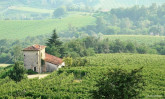 Prosecco hills inscribed on Unesco World Heritage list