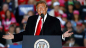 Trump: End birthright citizenship for some US-born babies