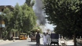 Afghan official: 14 killed in bombing at candidate rally