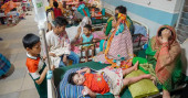29 new dengue patients hospitalised in 24 hrs