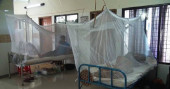 One new dengue patient admitted to hospital in 24 hrs