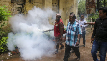 Govt allocates Tk 51.5 cr for eliminating mosquitoes