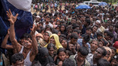 Speaker seeks Indian support over Rohingya repatriation