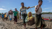 ‘Bangladesh ready’ to start Rohingya repatriation Thursday
