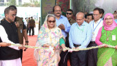 Plant saplings at houses, workplaces: PM 