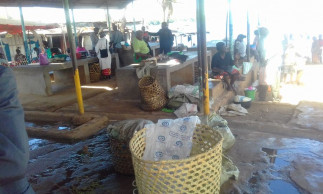 Innovative ice baskets cushion Kenyan fish dealers from losses