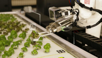 Meet the farmers of the future: Robots