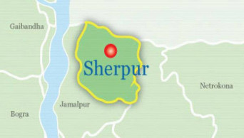 Wild elephants destroy 3 houses in Sherpur