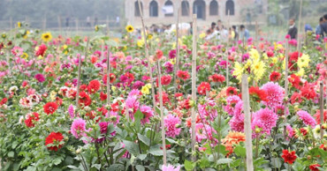 Narayanganj florists bask in supply glut, eye Tk20 cr sale