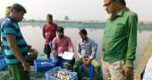 ‘Pabda’ farming turning tide at Abhaynagar