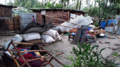 Woman killed, over 500 houses damaged as tornado hits Lalmonirhat