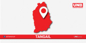 Bike crashes into tree in Tangail; 2 dead