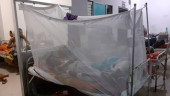 Dengue claims another life; 226 new patients hospitalised in 24 hrs