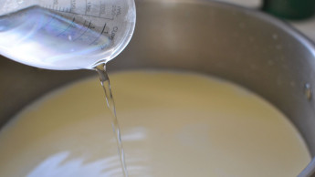 HC seeks report on adulterated milk, curd-producing companies