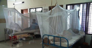2 dengue patients hospitalised in 24 hrs