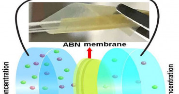 Scientists develop bio-inspired membrane to harvest energy from seawater