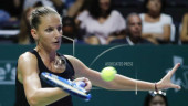 Pliskova out of Fed Cup final, Krejcikova in for Czechs