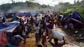 Probe into grave HR violations in Rakhine remains absent: UN
